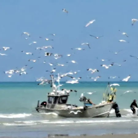 Semesterbostad Agreable Maison Entre Champs Et *