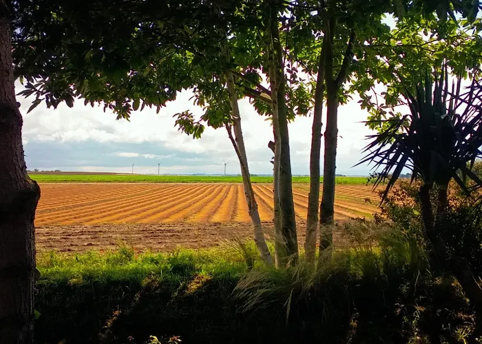 Maison Entre Champs Et *