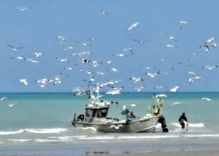 Hébergement de vacances Maison Entre Champs Et *