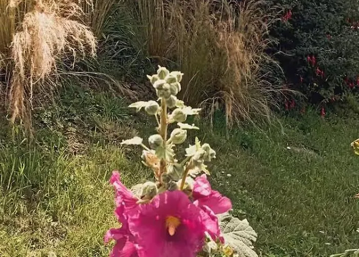 Hébergement de vacances Maison Entre Champs Et *