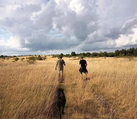 Maison Entre Champs Et * Sainte-Marguerite (Upper Normandy)